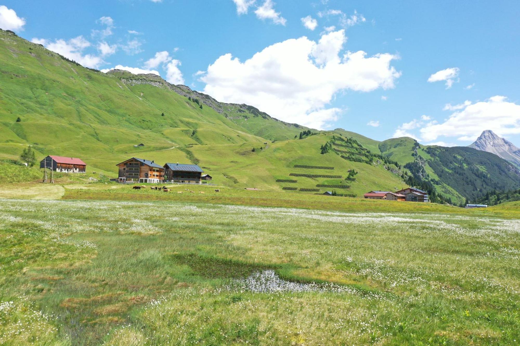 Apart-Wolf-Arlberg Warth  Buitenkant foto